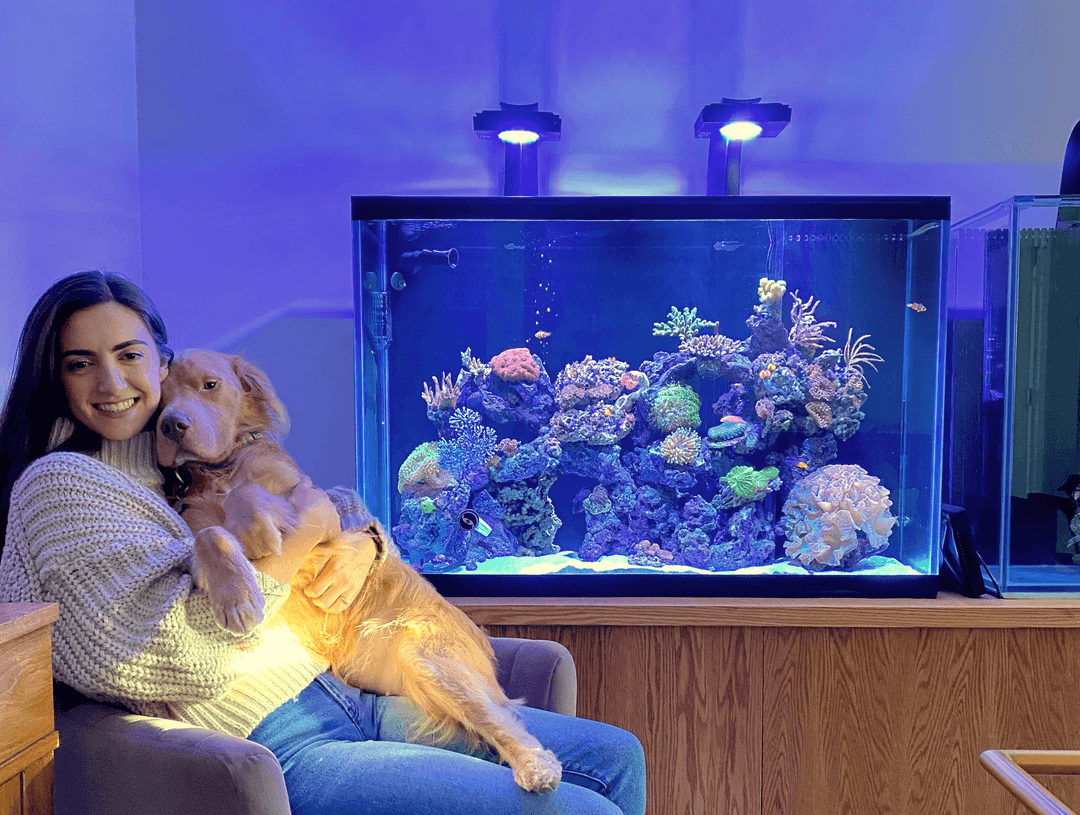 Berklee Lucas at Benjamin's Custom Aquariums